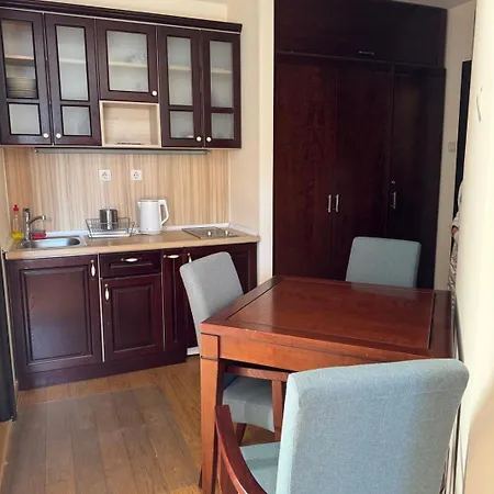 Apartment Mecava Lux *
