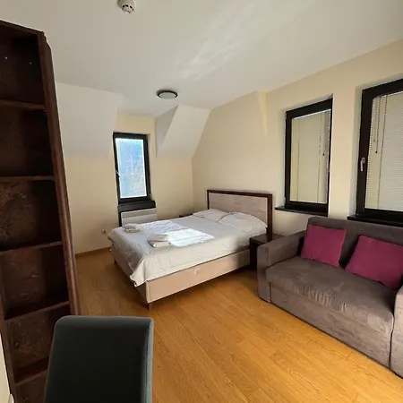 Apartment Mecava Lux