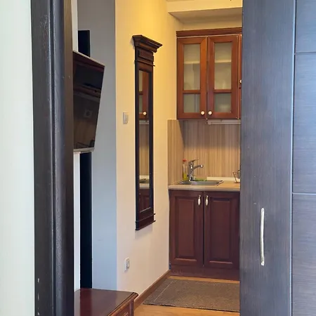 Apartment Mecava Lux *